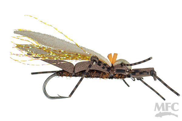 Terrestrials