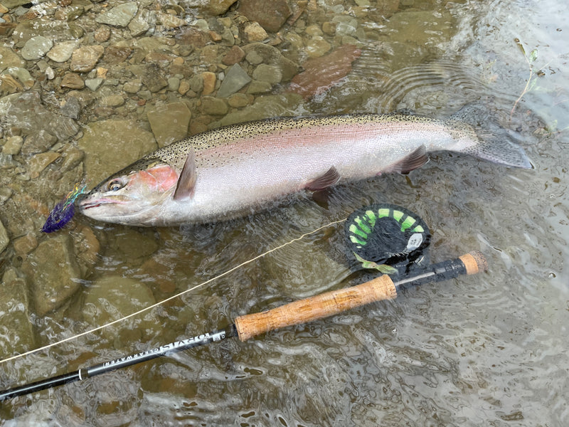 Steelhead2026