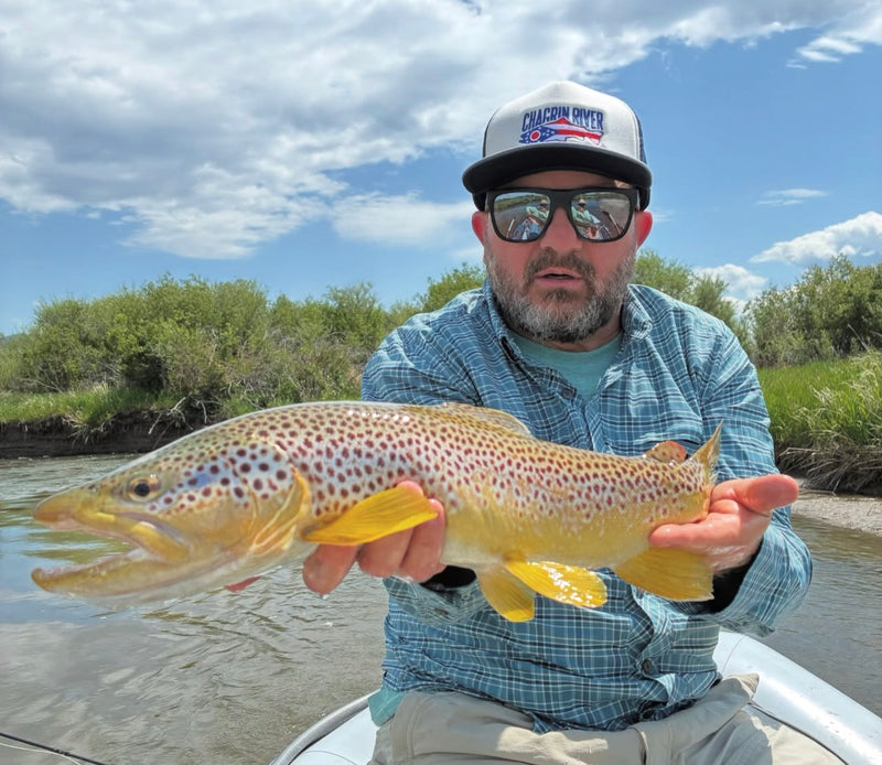Trout Flies