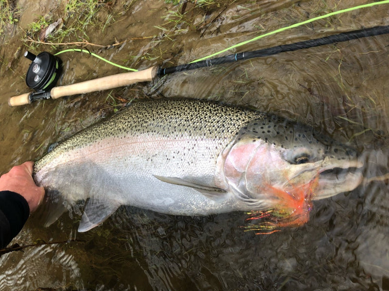 Swinging Flies