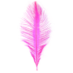 Pink ostrich feather on a white background