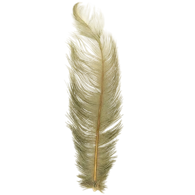 Single tan ostrich feather on a white background
