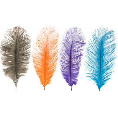MFC Ostrich Plumes