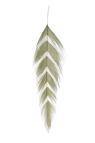 A selection of MFC Galloup's fish feathers for fly tying, displayed in various colors and patterns, including solid white, red, yellow, and more.