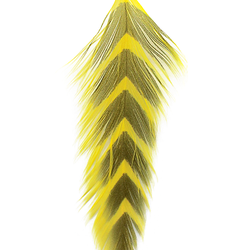 MFC Galloup's Fish Feathers - Arrowhead