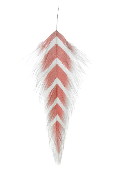 A selection of MFC Galloup's fish feathers for fly tying, displayed in various colors and patterns, including solid white, red, yellow, and more.