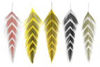 A selection of MFC Galloup's fish feathers for fly tying, displayed in various colors and patterns, including solid white, red, yellow, and more.