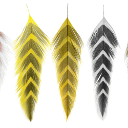 MFC Galloup's Fish Feathers - Arrowhead