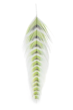 A collection of grizzled fish feathers in various colors including black, brown, and green, used for fly tying in fishing.