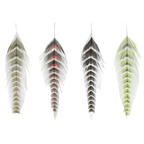 A collection of grizzled fish feathers in various colors including black, brown, and green, used for fly tying in fishing.