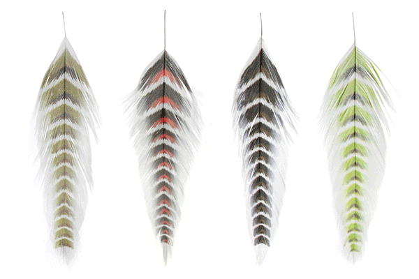 MFC Galloup's Fish Feathers - Grizzled