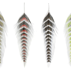 MFC Galloup's Fish Feathers - Grizzled