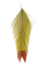 A set of three fish feathers with fin tips in yellow, white, and red, used for fly tying in fishing.