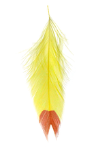 A set of three fish feathers with fin tips in yellow, white, and red, used for fly tying in fishing.