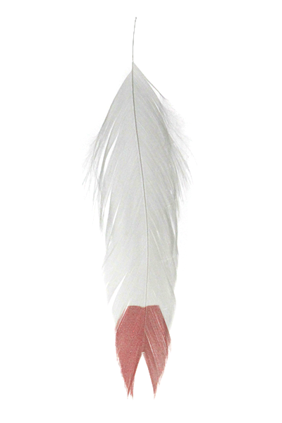 A set of three fish feathers with fin tips in yellow, white, and red, used for fly tying in fishing.