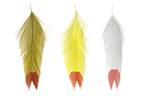A set of three fish feathers with fin tips in yellow, white, and red, used for fly tying in fishing.