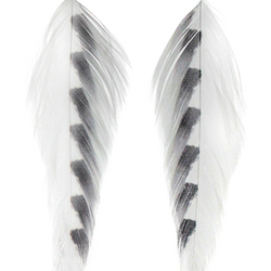 MFC Galloup's Fish Feathers - Shark Fin