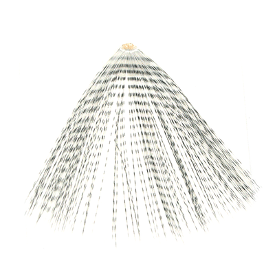 MFC Micro-Barred Fibbets