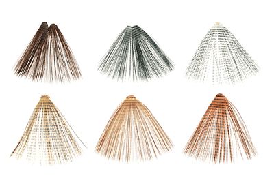 MFC Micro-Barred Fibbets