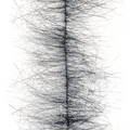 MFC Sparkle Minnow Body Brush