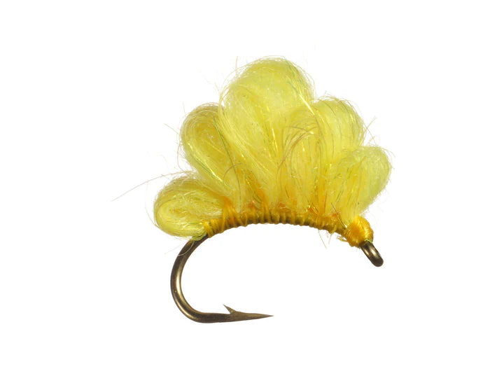 Sparkle Spawn Egg Fly - 6 Pack