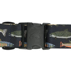 Simms Wading Belt - 2" with fish pattern on a white background