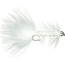 Beadhead Wooly Buggers Steelhead - 6 Pack