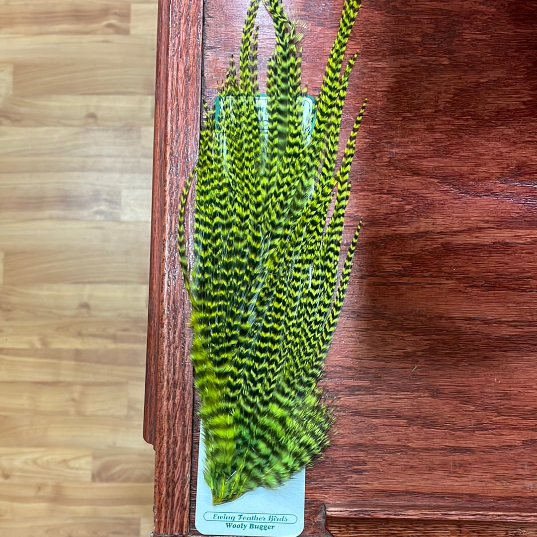 Ewing Grizzly Woolly Bugger Patches