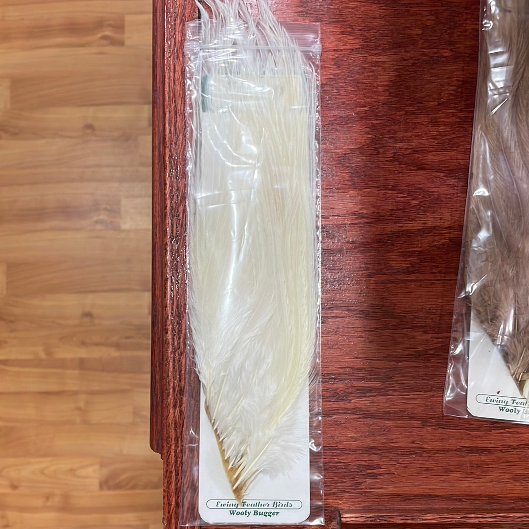 Ewing Woolly Bugger Pack