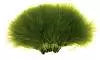 A bundle of Wapsi Strung Marabou  feathers used for fly tying in fishing.