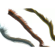 Wapsi Pine Squirrel Zonkers Standard