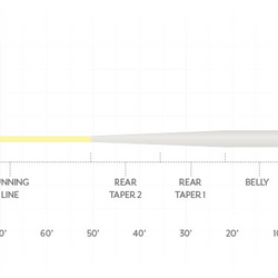 SA Amplitude Smooth Bonefish Plus