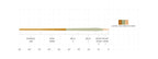 SA Amplitude Smooth Trout Expert taper chart