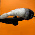 Fishing lure with black and white details on an orange background