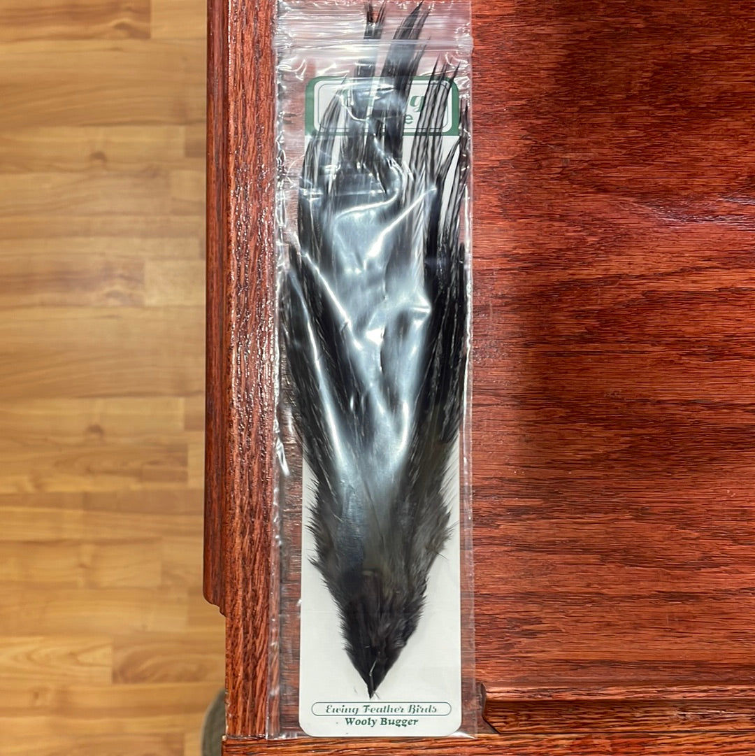 Ewing Woolly Bugger Pack