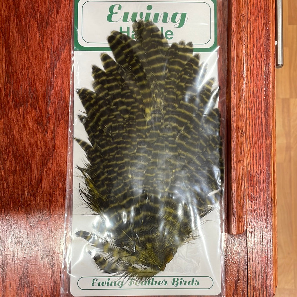 Ewing Hen Saddle