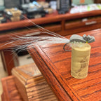 Close-up of a gray gurgler fly on a wooden furniture.