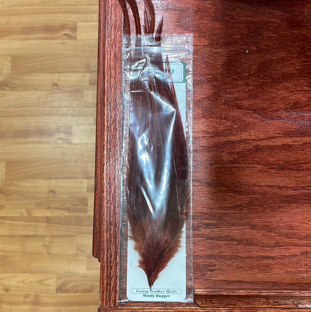 Ewing Woolly Bugger Pack