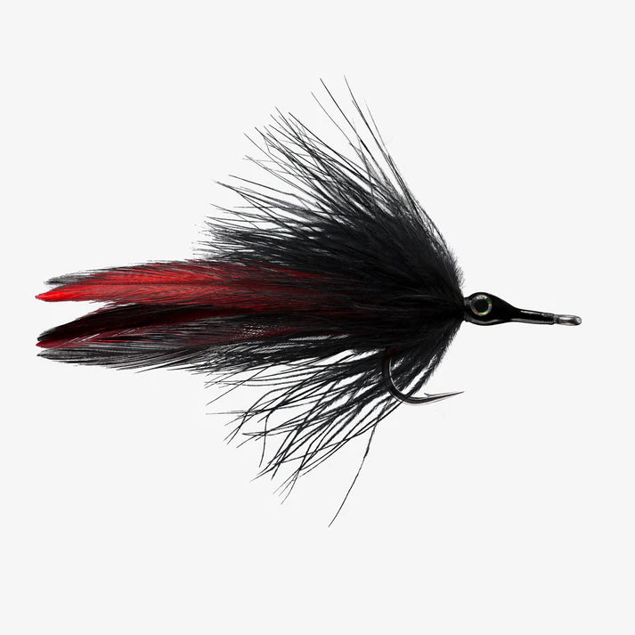 Fishing fly with black and red feathers on a white background