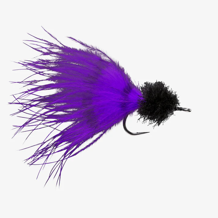 Barred purple and black tarpon fishing fly on a white background
