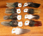 Set of Coq-de-leon feathers on a wooden surface