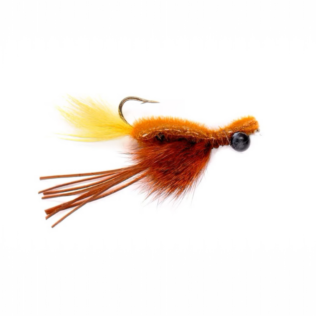 Fishing fly with orange and brown body on a white background
