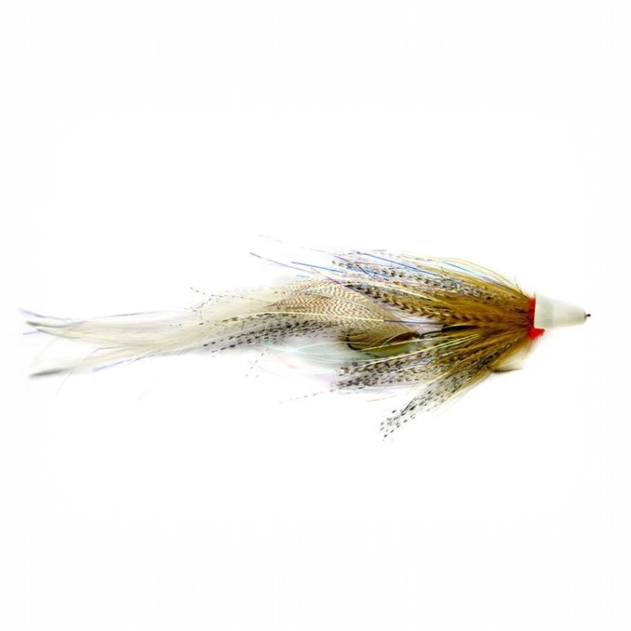 Swinging D Olive & White S2 with detailed pattern on a white background