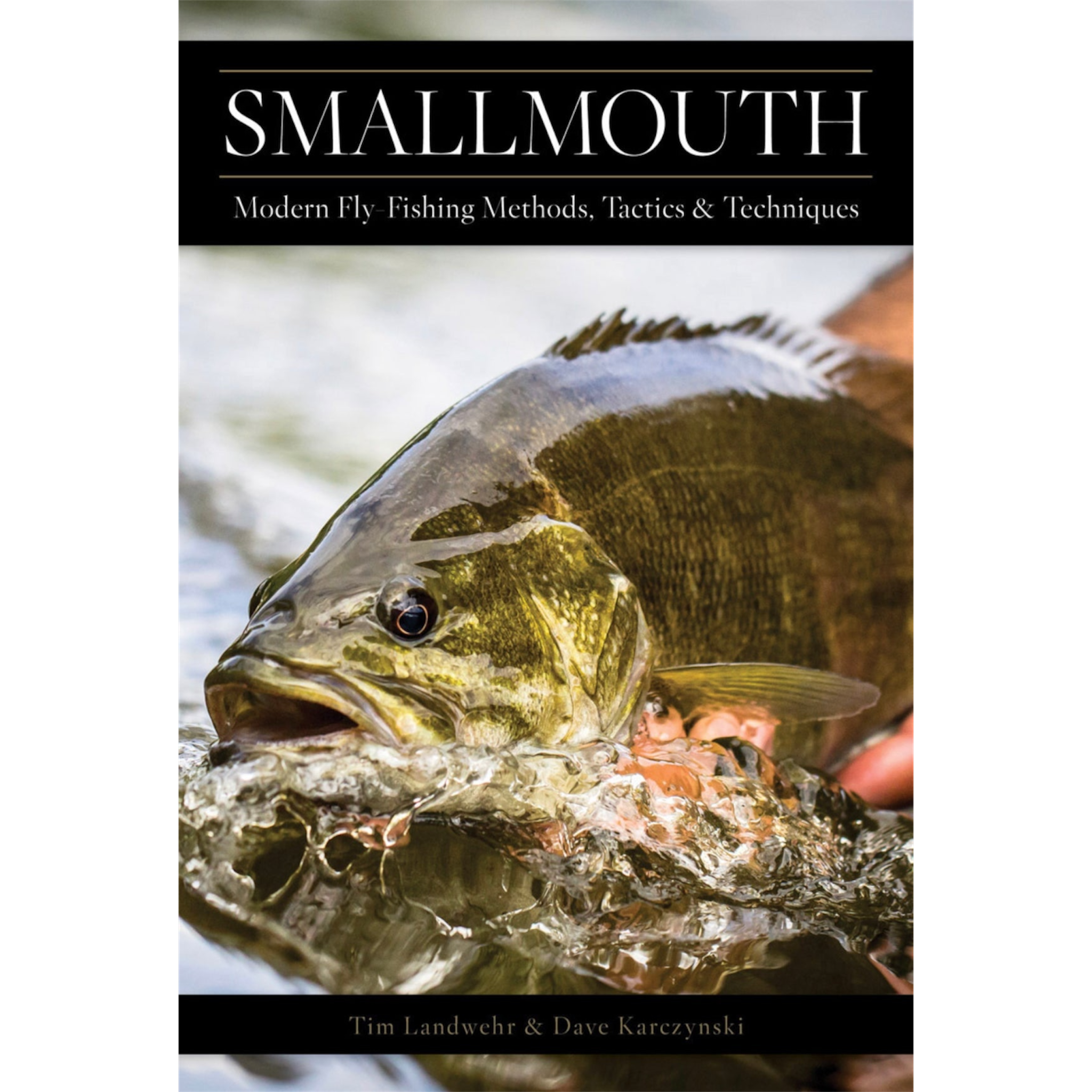 Smallmouth Modern Fly Fishing Methods