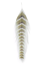 A collection of grizzled fish feathers in various colors including black, brown, and green, used for fly tying in fishing.
