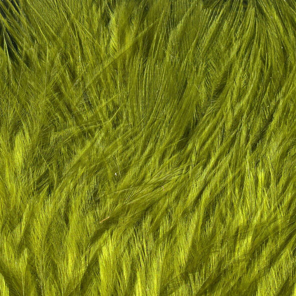A collection of Hareline Woolly Bugger Marabou feathers in dark olive, arranged on a wooden surface.