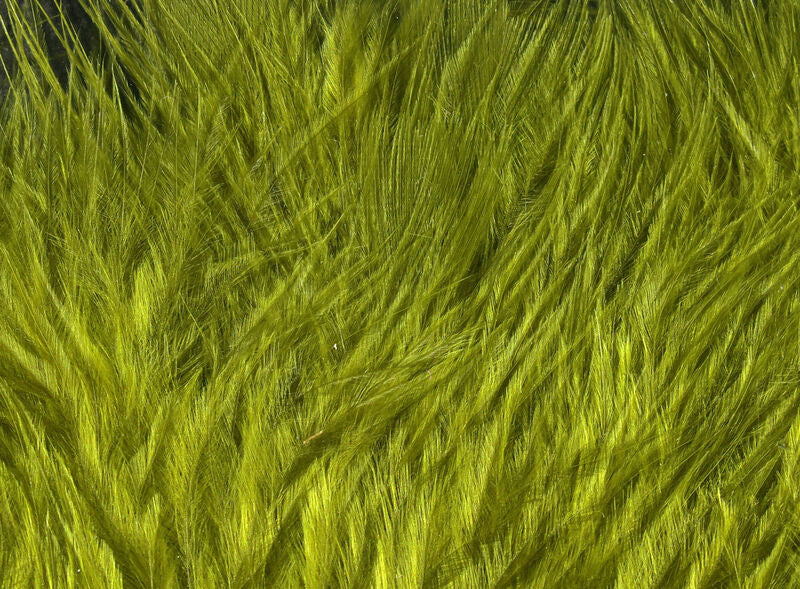 Hareline Woolly Bugger Marabou