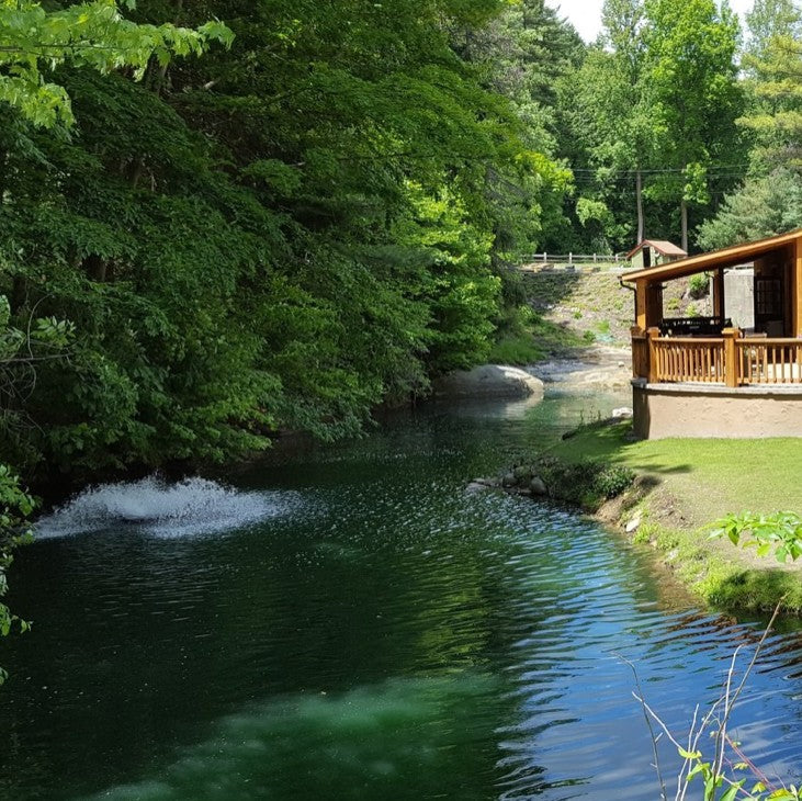 Pine Lake wooden cabin with a large deck surrounded by greenery and a creek. 
