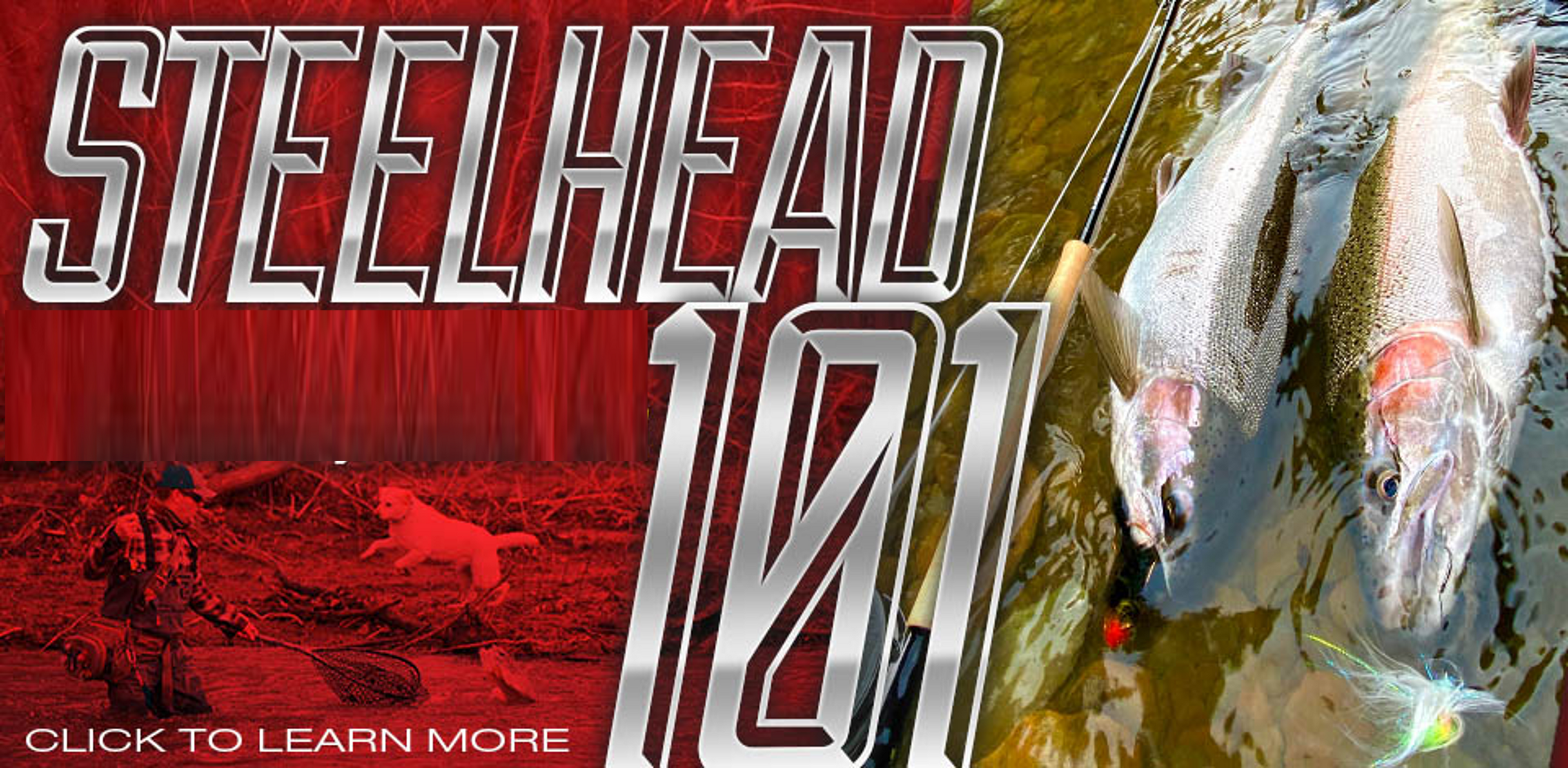 Steelhead 101 Classes