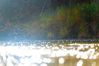 Person fly fishing in a river with trees and water reflections in the background